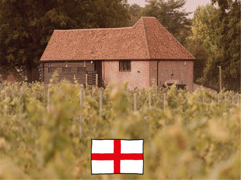 English vineyard in East Sussex
